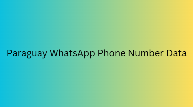 Paraguay WhatsApp Phone Number Data